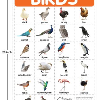 Birds - My First Early Learning Wall Posters: For Preschool, Kindergarten, Nursery And Homeschooling (19 Inches X 29 Inches)